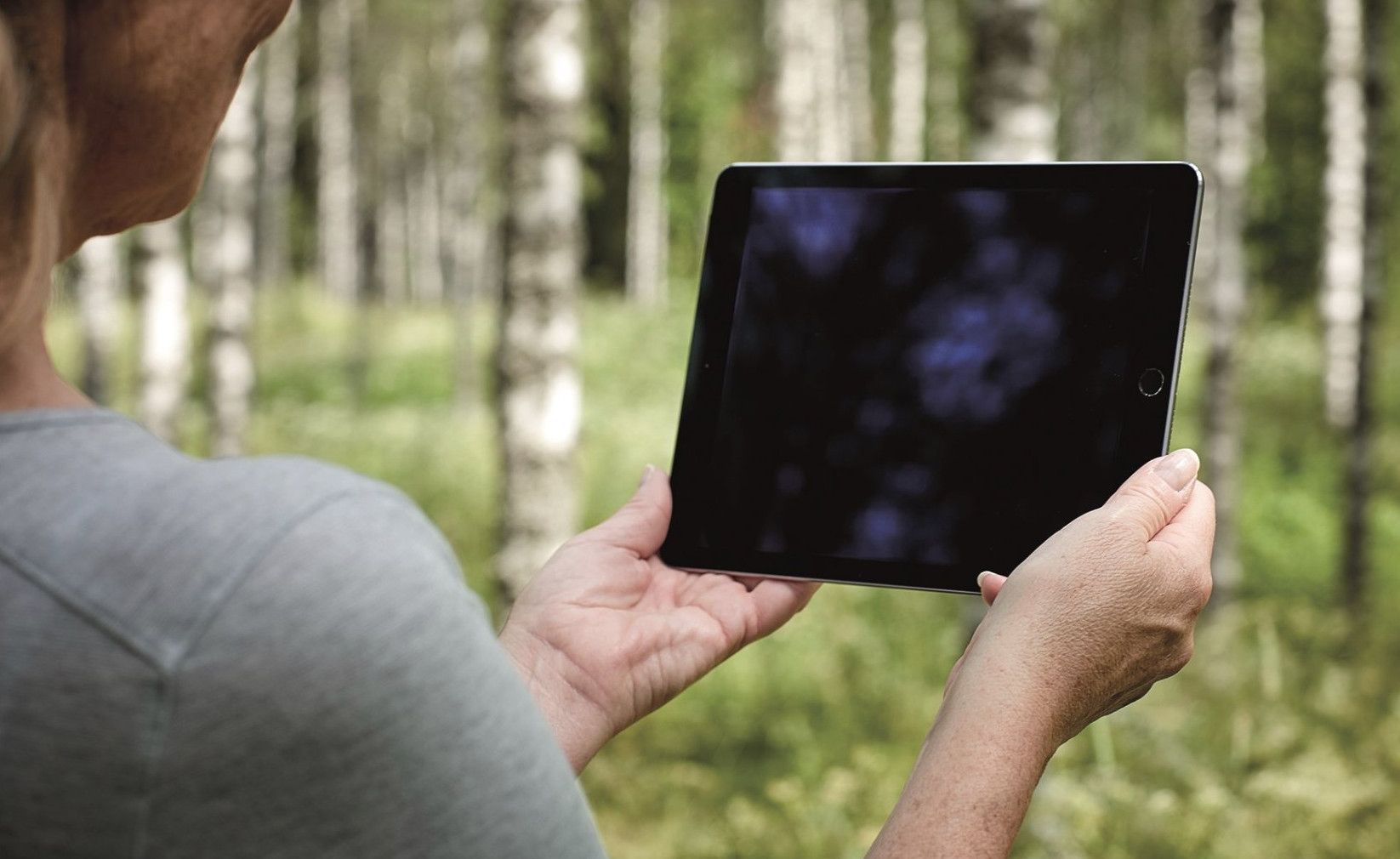 Tree-G – forests of the future