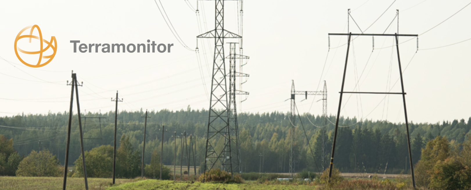 Electricity grid monitoring using satellite images